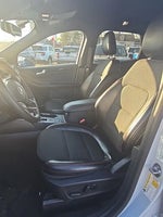 2025 Escape Thumbnail 6