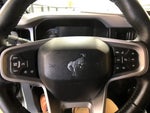 2021 Bronco Thumbnail 13