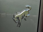 2023 Bronco Thumbnail 28