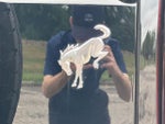 2022 Bronco Thumbnail 38