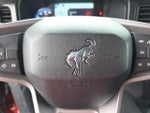 2023 Bronco Thumbnail 12