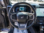 2022 Bronco Thumbnail 12