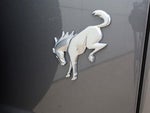 2021 Bronco Thumbnail 10
