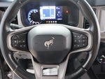 2021 Bronco Thumbnail 19