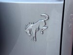 2023 Bronco Thumbnail 7