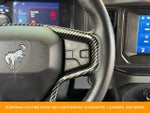 2023 Bronco Thumbnail 17
