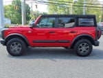 2021 Bronco Thumbnail 4