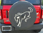 2021 Bronco Thumbnail 14