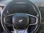 2022 Bronco Thumbnail 14