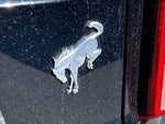2022 Bronco Thumbnail 8