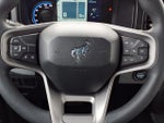 2022 Bronco Thumbnail 17