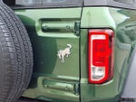 2022 Bronco Thumbnail 24