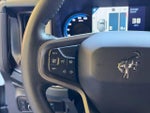 2023 Bronco Thumbnail 19
