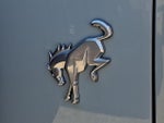 2023 Bronco Thumbnail 29