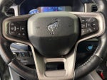 2021 Bronco Thumbnail 15