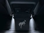 2021 Bronco Thumbnail 18