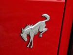 2023 Bronco Thumbnail 29