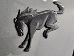 2021 Bronco Thumbnail 15