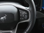 2023 Bronco Thumbnail 8