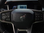 2022 Bronco Thumbnail 19