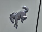 2023 Bronco Thumbnail 26