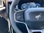2025 Bronco Thumbnail 11