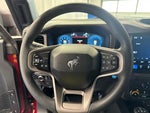 2026 Bronco Thumbnail 17