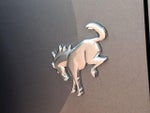 2024 Bronco Thumbnail 29