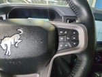 2024 Bronco Thumbnail 19