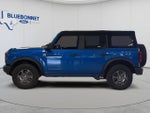 2025 Bronco Thumbnail 8