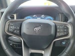 2025 Bronco Thumbnail 20