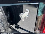 2025 Bronco Thumbnail 13
