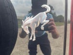 2025 Bronco Thumbnail 40