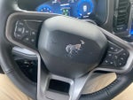 2025 Bronco Thumbnail 14