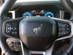 2025 Bronco Thumbnail 19