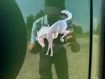 2025 Bronco Thumbnail 40