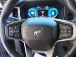2025 Bronco Thumbnail 21