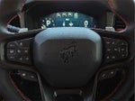 2025 Bronco Thumbnail 19