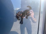 2024 Bronco Thumbnail 39