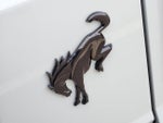 2024 Bronco Thumbnail 11