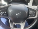 2023 Bronco Thumbnail 14