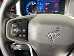 2023 Bronco Thumbnail 15