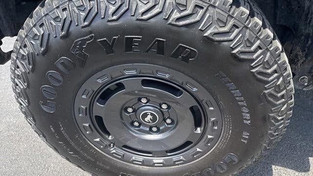 2024 Ford Bronco Everglades