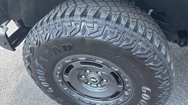 2024 Ford Bronco Everglades
