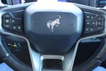2021 Bronco Thumbnail 18