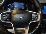 2021 Bronco Thumbnail 18