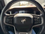2023 Bronco Thumbnail 7