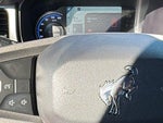 2023 Bronco Thumbnail 18