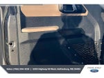 2021 Bronco Thumbnail 17