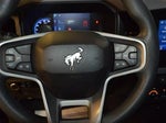2023 Bronco Thumbnail 18
